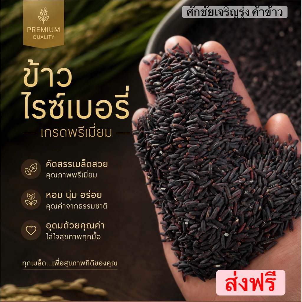 ข้าวไรซ์เบอรี่(เกรดพรีเมี่ยม)ขนาด5กิโล ออร์แกนิค เม็ดดำเข็ม เต็มเม็ดไม่ผสม ปลอดสาร ไม่อบยา