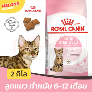 Royal Canin Kitten Sterilised อาหารแมว โรยัล คานิน ลูกแมว แมวเด็ก ทำหมัน ไขมันต่ำ อายุ 6 - 12 เดือน ขนาด 2kg