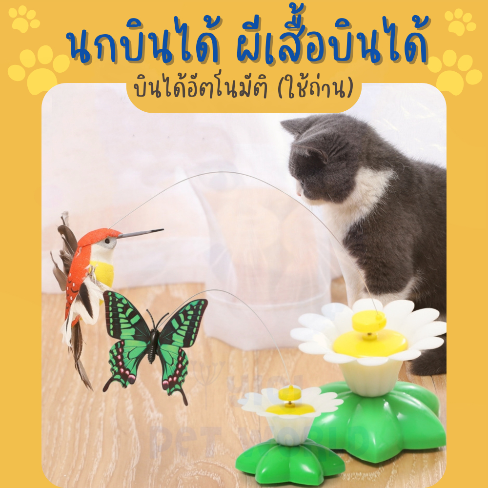 🔥(ส่งด่วน/ส่งไว) ของเล่นแมว นกบินได้ ผีเสื้อบินได้ ผึ้งบินได้ บินอัตโนมัติ คละสี ใส่ถ่าน (Y028)