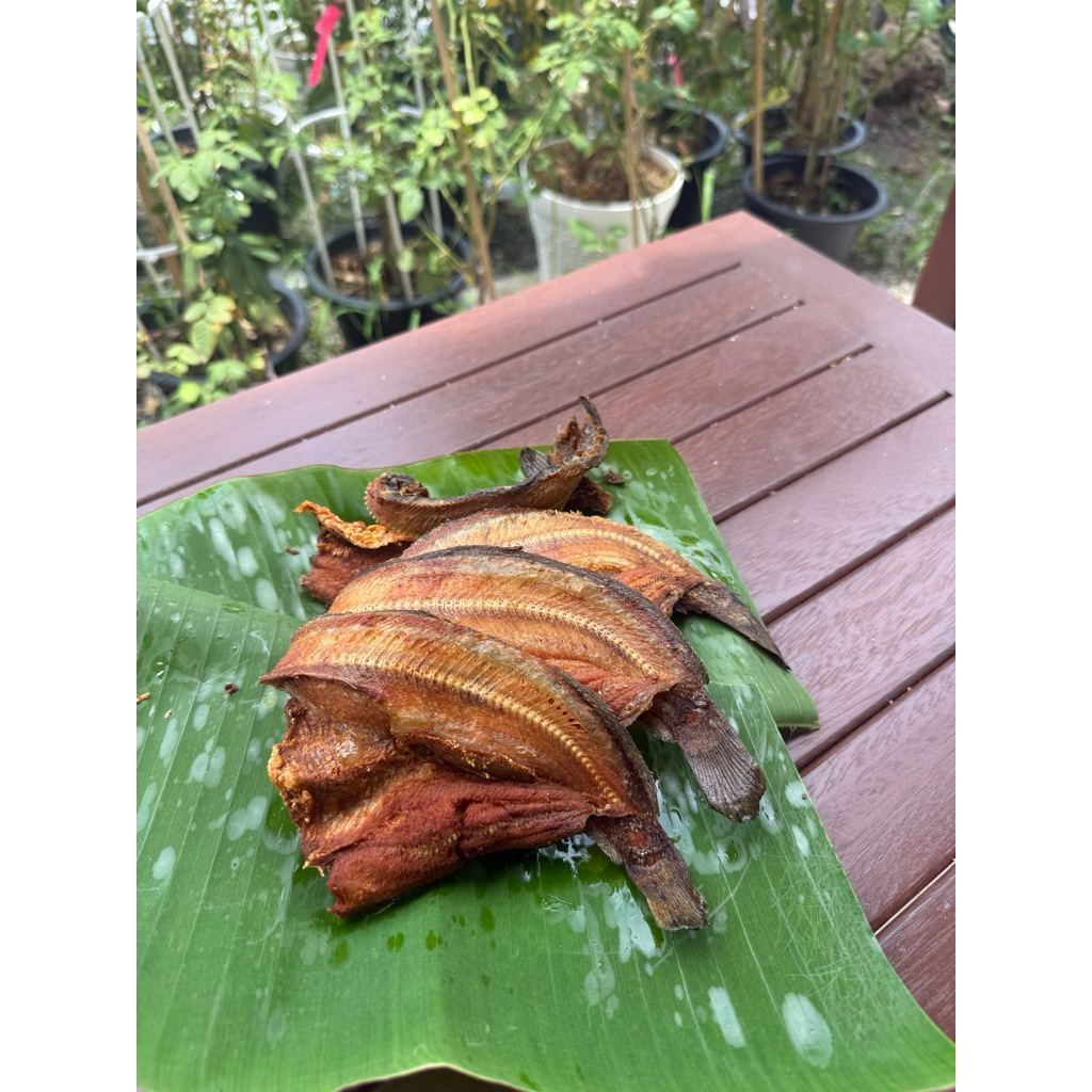 ปลาดุกแดดเดียวขนาด500กรัมหอมมันอร่อย