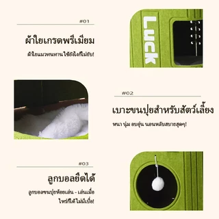 🐱บ้านแมวหลายชั้นหลายฤดูกาลแมวชั้นดีปีนขึ้นไปชั้นหนึ่งด้วยต้นไม้แมว ที่ปิดกั้นกระดานแมวคิตตี้รูต้นไม้โฮม