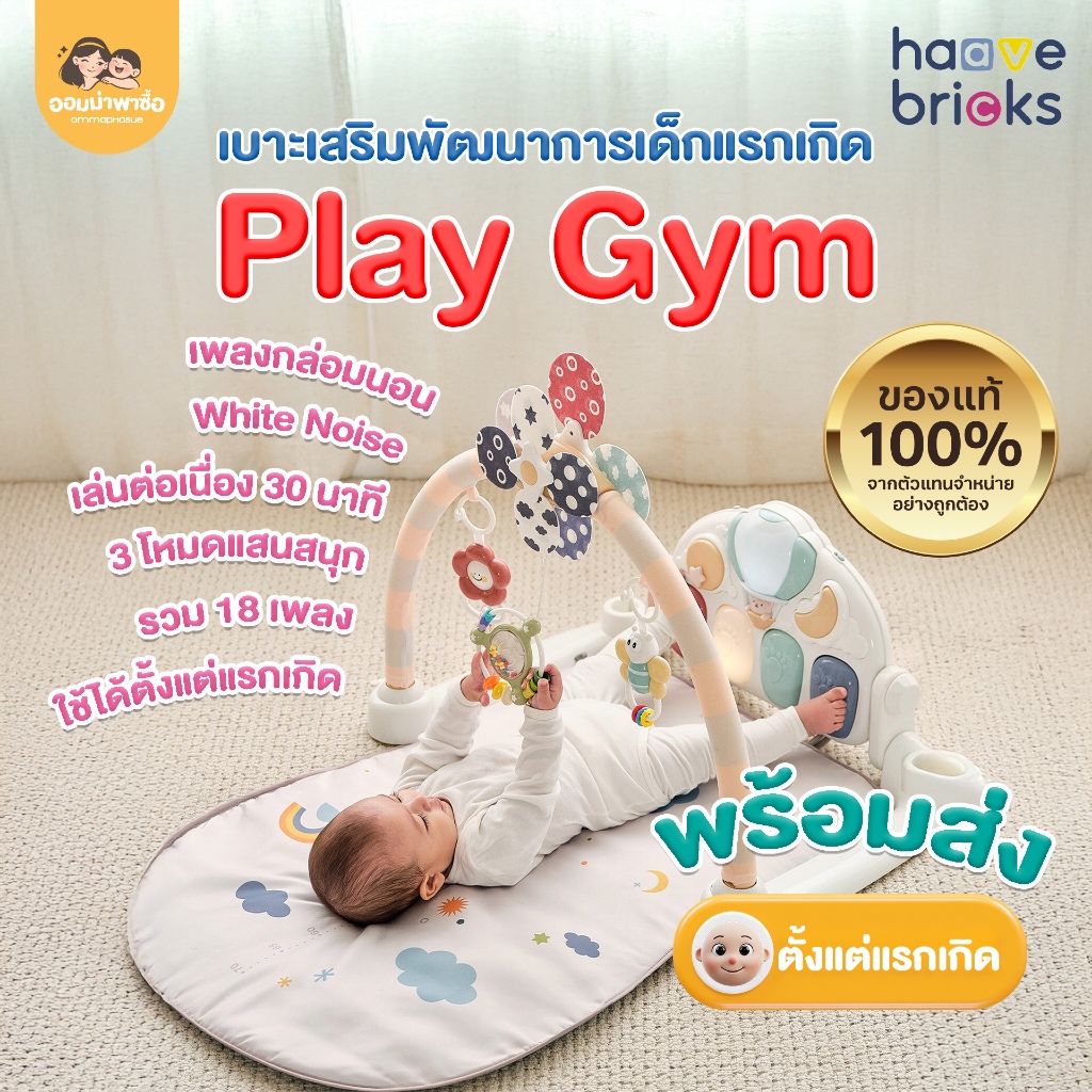 HaaveBricks เพลยิม เบาะนอนเสริมพัฒนาการเด็กเล็ก Play Gym