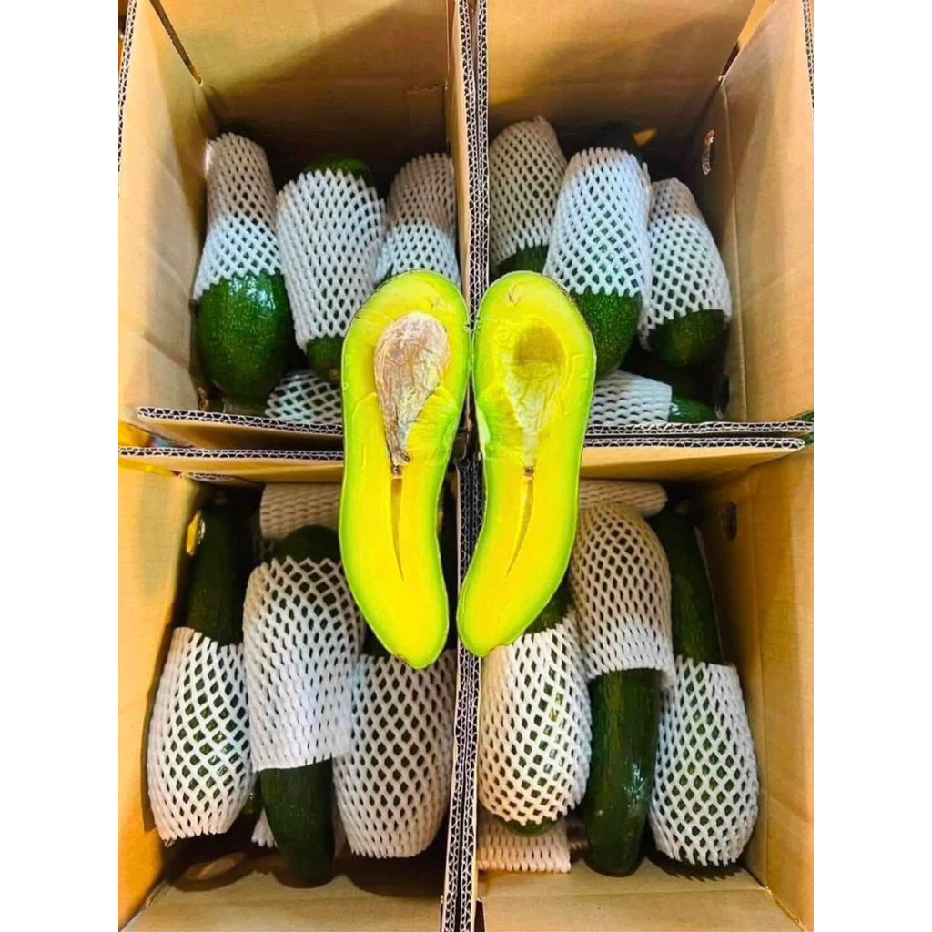 อาโวคาโด034🥑❗️ไซต์1-2ลูกโล❗️ รสชาติหวานมันเกรดAราคาถูกสดจากดอยเชียงใหม่