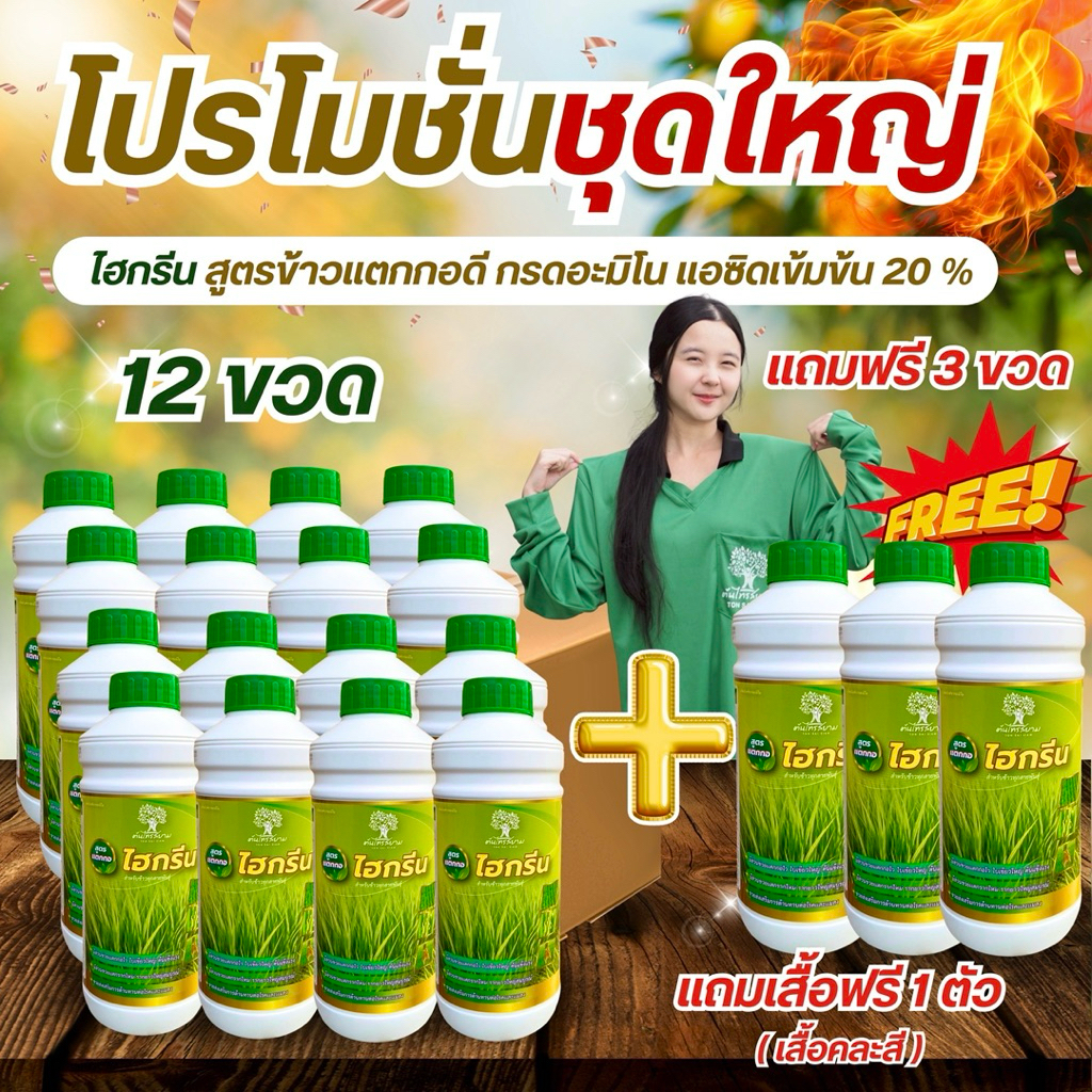 ชุดพิเศษโปร 12 เเถม 3  ไฮกรีน ข้าวเเตกกอ ขนาด 1 ลิตร เเตกกอไว ใบเขียวเข้มใหญ่ ออกรวงสุดเเตกรากเยอะ ทนต่อสภาพอากาศ
