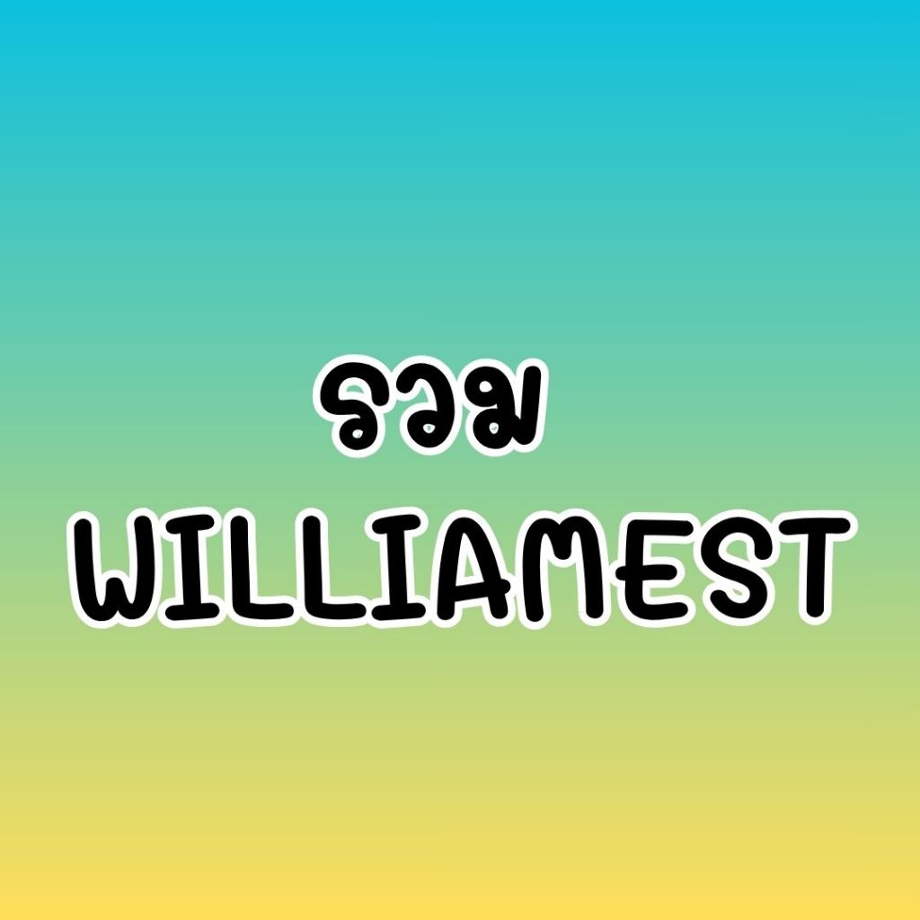 พร้อมส่ง - รวม WILLIAMEST กระดาษโน๊ต, สติ๊กเกอร์ไดคัท, Photocard