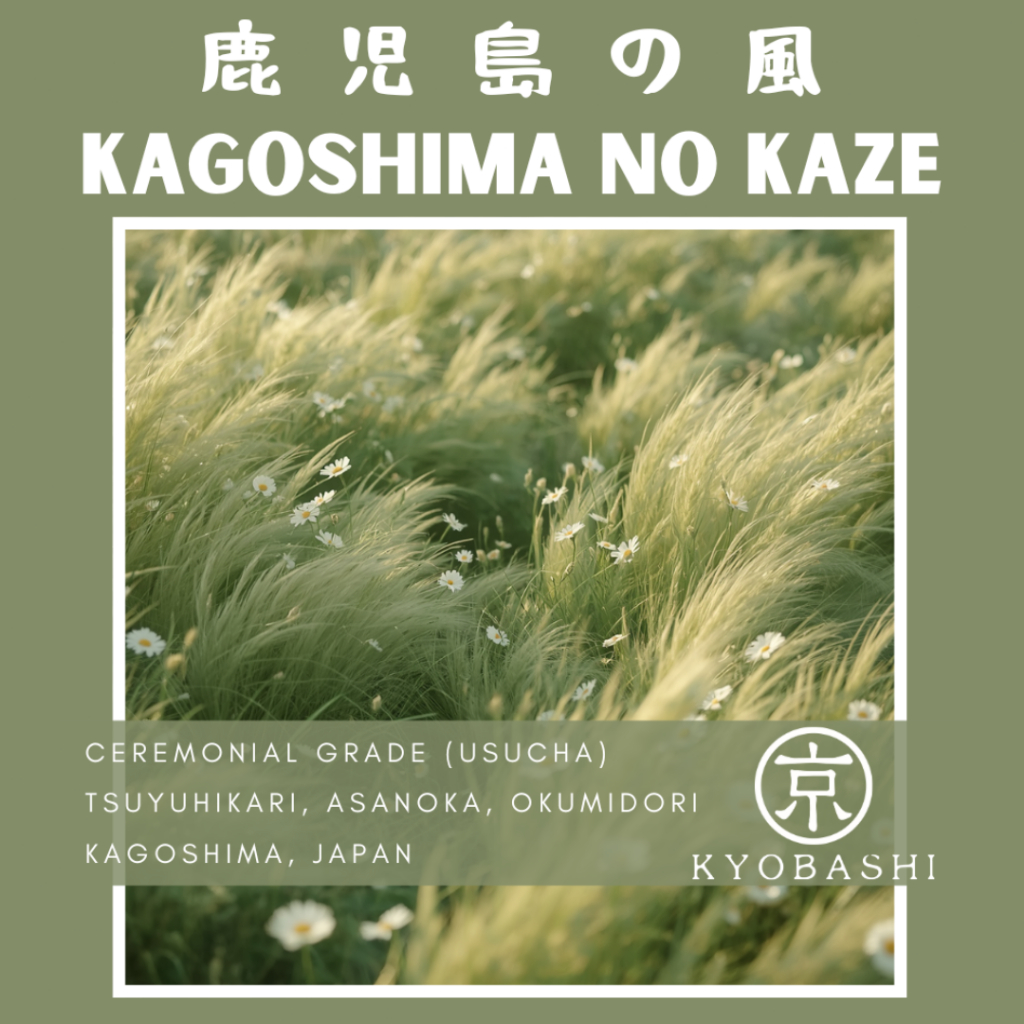 Kyobashi Kagoshima no Kaze Matcha (Ceremonial Grade) มัทฉะญี่ปุ่น คาโกชิมะ นุ่ม หอม ละมุน ชงใส/ลาเต้ Matcha Kagoshima