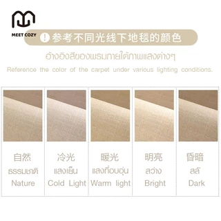 MEET COZY พรมปูพื้น ผ้าแคชเมียร์เทียม carpet นุ่ม พรมปูพื้นห้อง พรมปูห้องนอน#1 DB-Leo