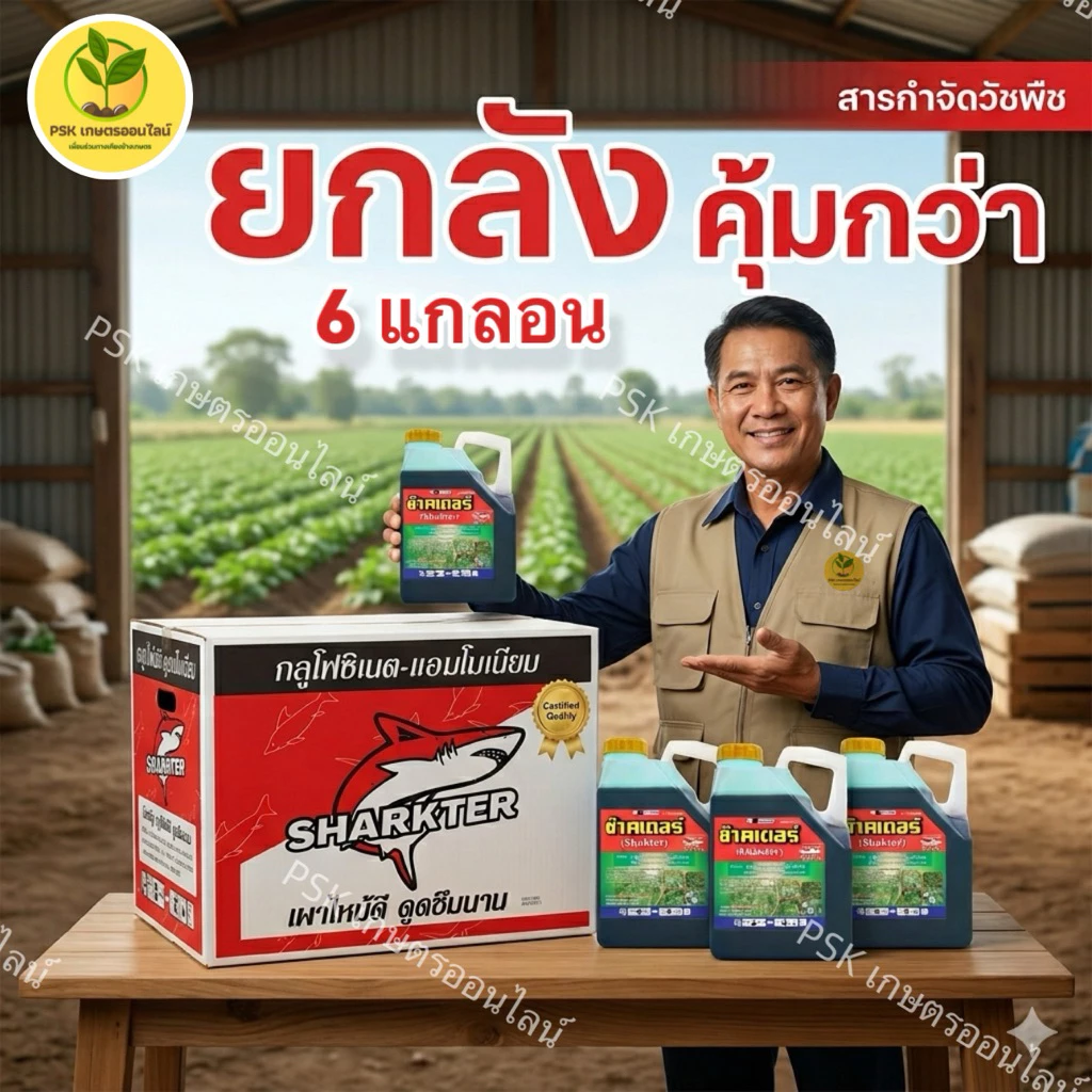 ช๊าคเตอร์ กลูโฟซิเนต-แอมโมเนียม(เผาไหม้ไว)ตัวเดียวกับมาคายี หวีทอง ขนาด 4 ลิตร ตราฉลาม (ยกลัง 1 ลังมี 6 แกลลอน)