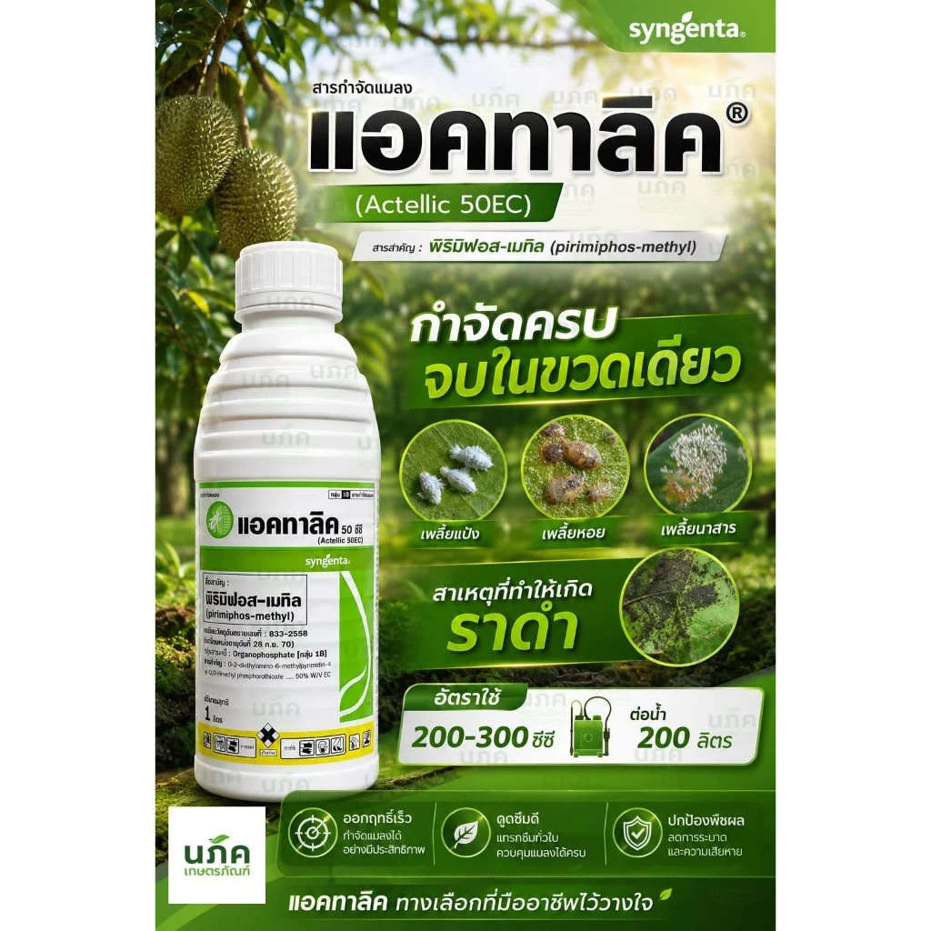 แอคทาลิค 1 ลิตร พิริมิฟอส 50อีซี กำจัดเพลี้ยแป้ง เพลี้ยหอย เพลี้ยไก่แจ้ทุเรียน มอด