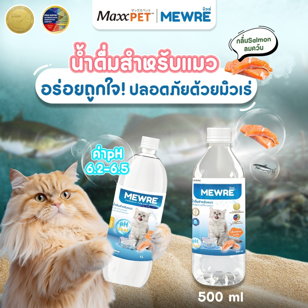 นํ้าดื่มสําหรับแมว Maxxpet มีให้เลือก 3 สูตร น้ำดื่มเพื่อสุขภาพสัตว์เลี้ยง สำหรับคนรักสัตว์