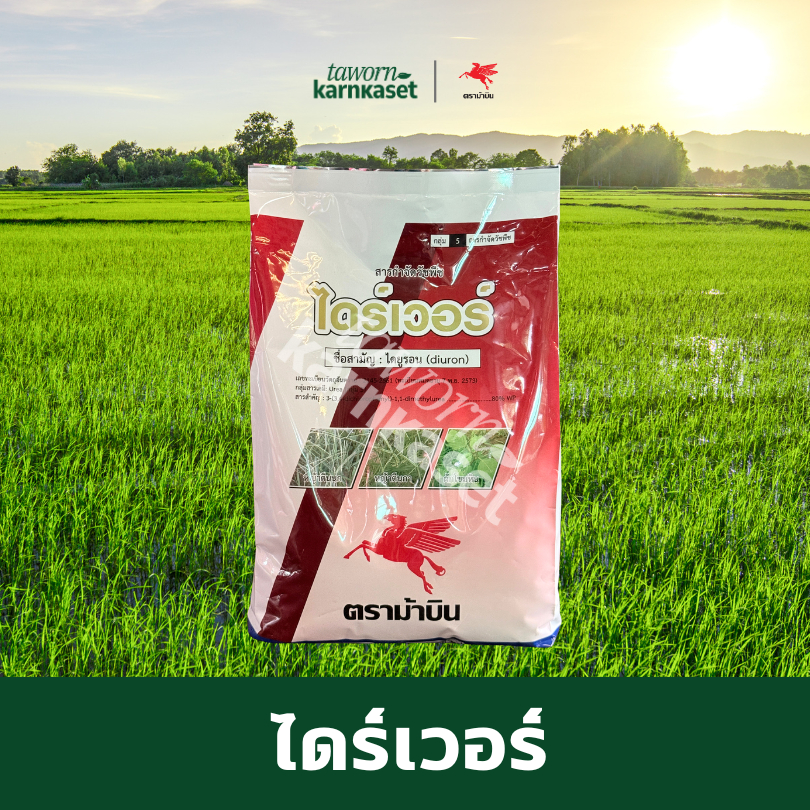 ไดร์เวอร์ (ไดยูรอน แบบผง) ตราม้าบิน  1kg สารกำจัดวัชพืชใบเเคบ ใบกว้าง ดูดซึมเข้าทางใบและราก