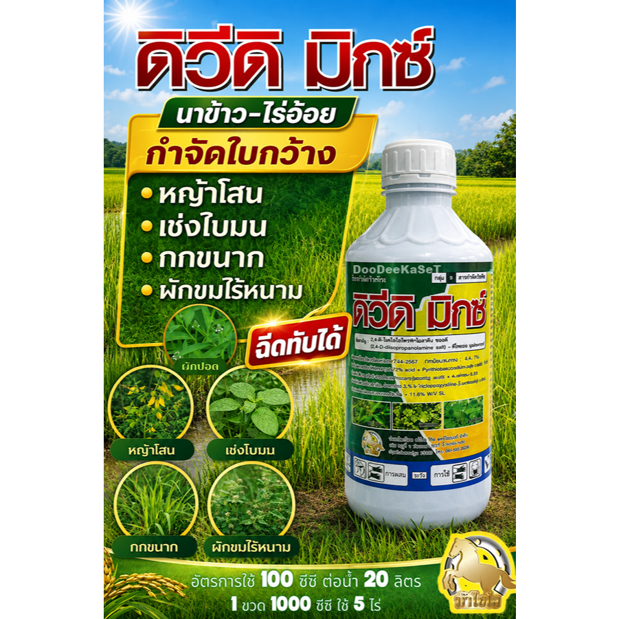 ดิวีดิ มิกซ์ 1 ลิตร สารเดียวกับ ทอร์ดอน กำจัดหญ้าใบกว้าง กก เช่น ผักปอดนา เทียนนา หนวดปลาดุก กกทราย กกขนาก ในนาข้าว