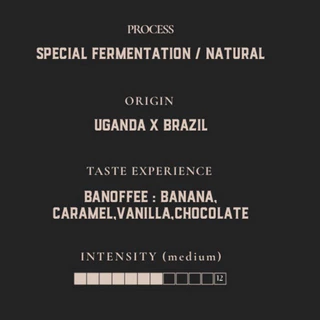 The Andante | Uganda Arabica Fermented x Brazil Natural | คั่วกลาง Medium Roast Banoffee blend