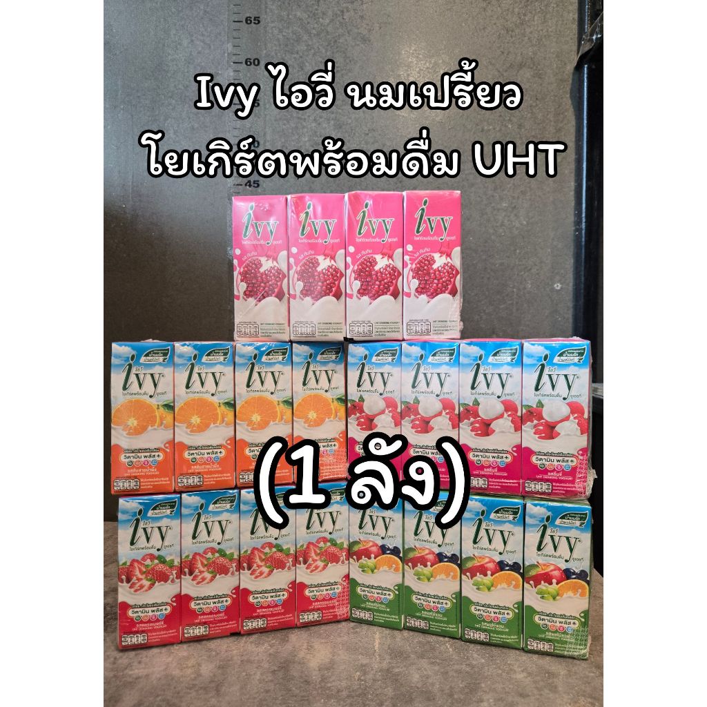 (1ลัง) Ivy ไอวี่นมเปรี้ยวโยเกิร์ตพร้อมดื่ม UHT นมเปรี้ยวรสผลไม้
