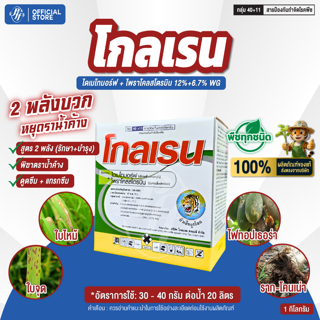โกลเรน 1 กิโลกรัม ไดเมโทมอร์ฟ + ไพราโคลสโตรบิน ดูดซึม+สัมผัส ราน้ำค้าง ใบไหม้ กุ้งแห้ง ไฟทอป