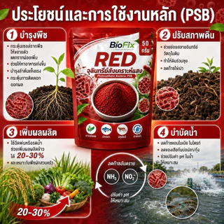 BioFix Red จุลินทรีย์สังเคราะห์แสงสีแดง PSB 50g. ใช้ได้เลยไม่ต้องรอข้ามคืน