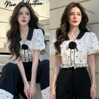 Paris Dot Set ชุดเซตเสื้อขาวคอปกดำลายจุด กางเกงขายาวThealner(ดิอัลเนอร์) AN567