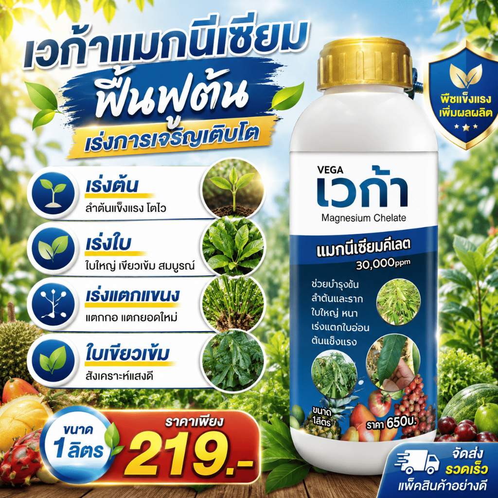 เวก้าแมกนีเซียม ฟื้นฟูต้น เร่งการเจริญเติบโต เร่งต้น เร่งใบ เร่งแตกแขนง แตกกอ ใบเขียวเข้ม 1ลิตร