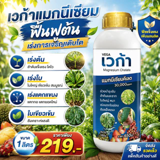 เวก้าแมกนีเซียม ฟื้นฟูต้น เร่งการเจริญเติบโต เร่งต้น เร่งใบ เร่งแตกแขนง แตกกอ ใบเขียวเข้ม 1ลิตร