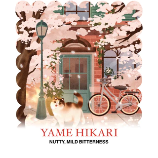 (HOJIMARU) ผงมัทฉะ Yame Hikari มัทฉะเกรดพิธีการโทนถั่ว จากเมืองยาเมะ
