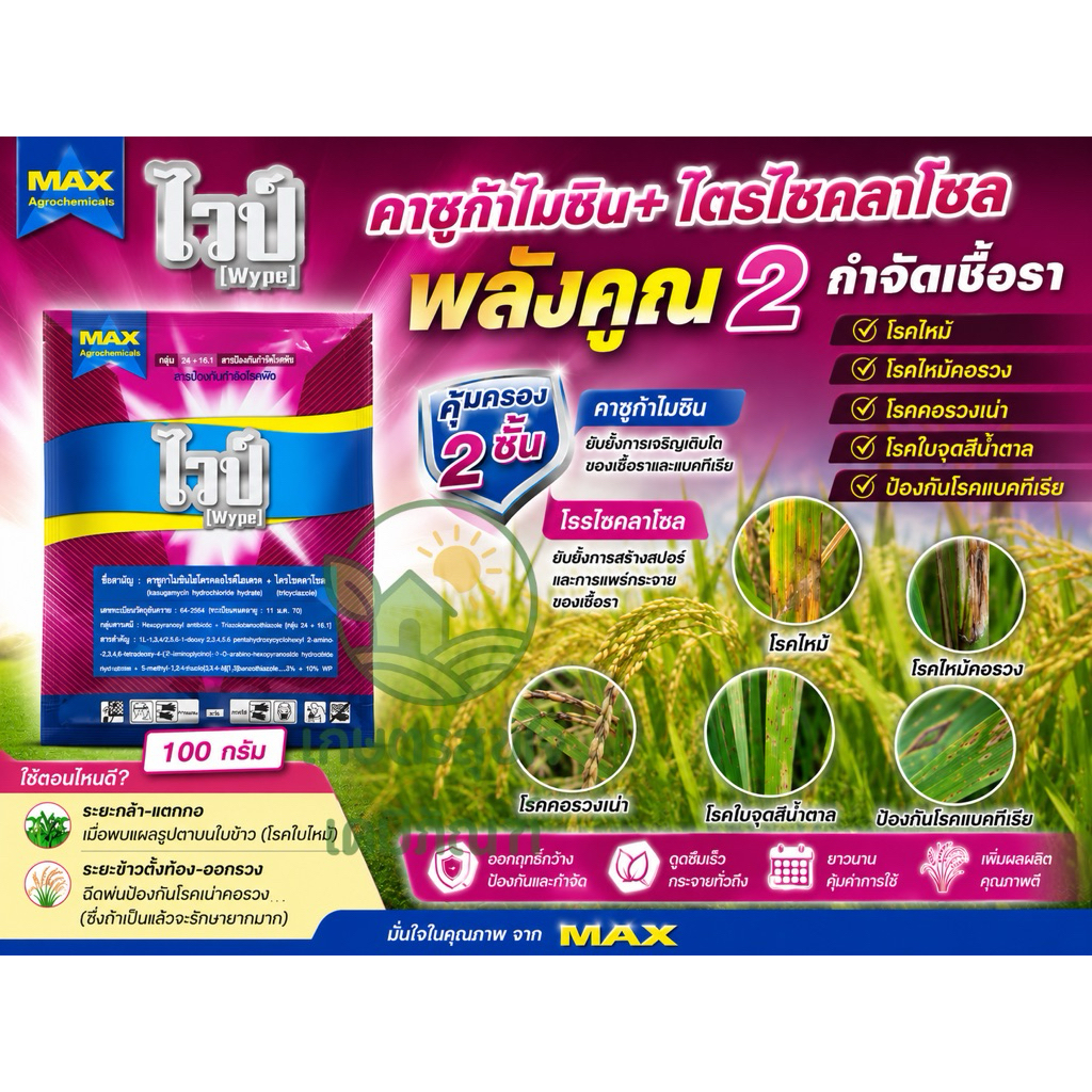 ไวป์ คาซูก้าไมซิน+ไตรไซคลาโซล (100กรัม) โรคไหม้ ขอบใบแห้ง กาบใบแห้ง ไหม้คอรวง