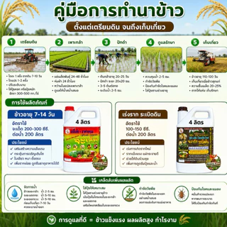จะเด็ดสำหรับ นาข้าวอะมิโน นํ้าตาลทางด่วน สาหร่ายทะเล อาหารพืช ฮอร์โมนพืช