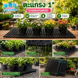 [ยกมัดสุดคุ้ม]ตะแรงพลาสติก 1“ ตะแกรงพลาสติกวางต้นไม้ ตะแกรงกล้วยไม้
