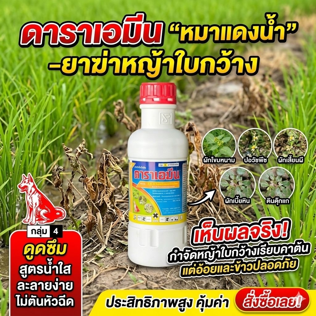 ​[ของแท้ พร้อมส่ง] หมาแดง-น้ำ (1 ลิตร) 2,4-D สูตรดูดซึม จัดการพืชใบกว้าง หนวดปลาดุก กกขนาก ในนาข้าว อ้อย ข้าวโพด