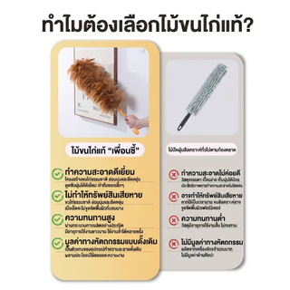 HB ไม้ปัดฝุ่นขนไก่ ทำด้วยมือ (พร้อมตะขอ) ขนคุณภาพสูง ไม่ร่วงง่าย น้ำหนักเบา พกพาสะดวก และจัดเก็บง่าย /เหมาะสำหรับตกแต่งบ