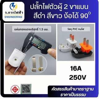 ปลั๊กไฟตัวผู้ 2 ขา 16A 250V งอได้ 90° หัวปลั๊กไฟ ปลั๊กตัวผู้พับได้ สีดำ สีขาว ใช้งานทั่วไป