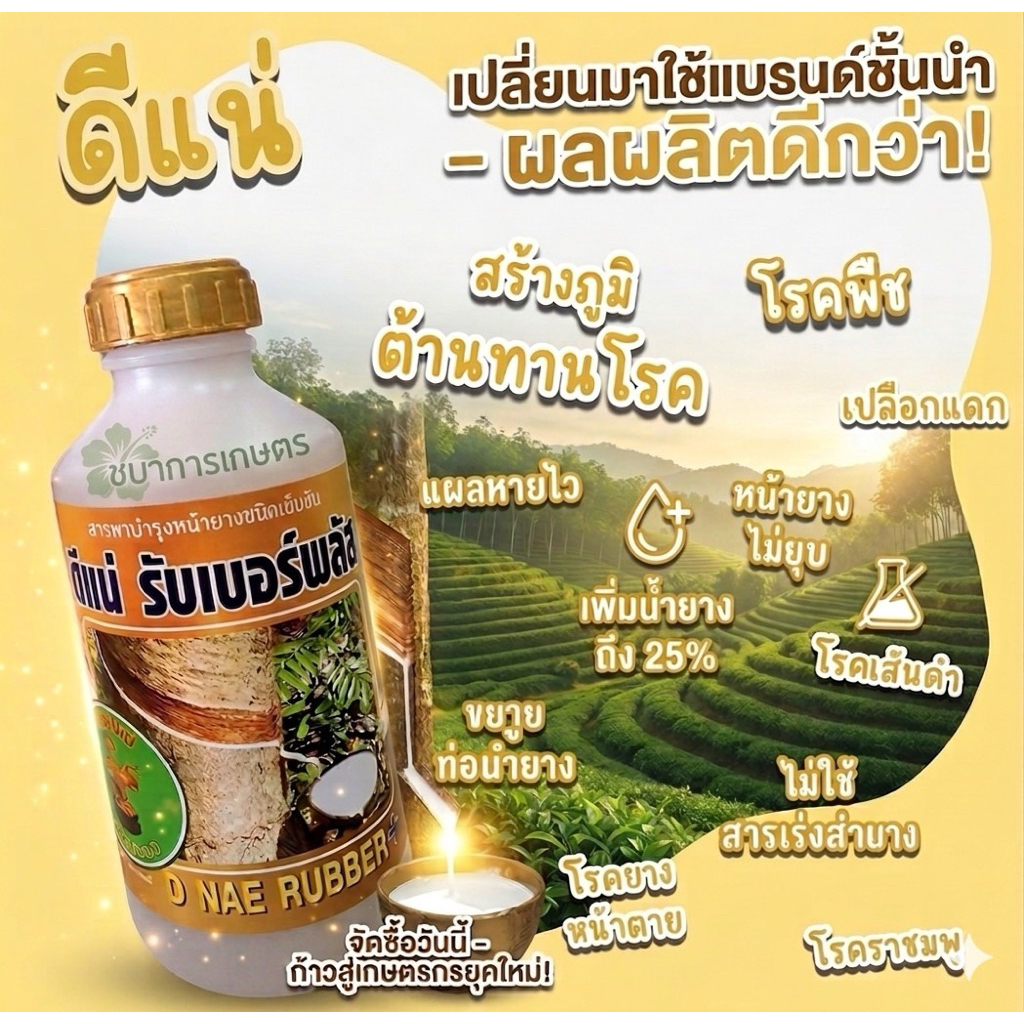 ดีแน่ สูตรสีทองของแท้ 100% เพิ่มผลผลิตทางการเกษตรเพิ่ม เปอร์เซ็นต์น้ำยางพาราทาแล้วหน้ายางนิ่มกรีดง่ายลดการเป็นโรคต่างๆ