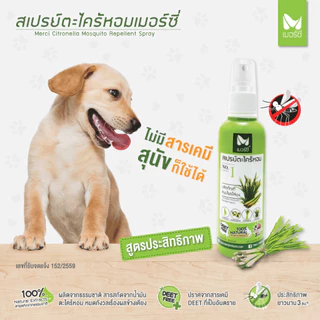 (โปร 55 บาท‼️) สเปรย์กันยุง ตะไคร้หอมไล่ยุง Merci 60 ml สเปรย์กันยุงสำหรับเด็ก-ผู้ใหญ่ ออแกนิค100% ปลอดภัยต่อสัตว์เลี้ยง
