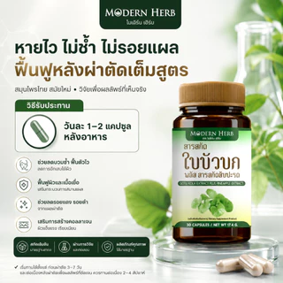Goto Kola Extract Plus Pineapple ตรา Modern Herb ใบบัวบกสกัด ฟื้นฟูหลังศัลยกรรม ลดบวม บำรุงผิว