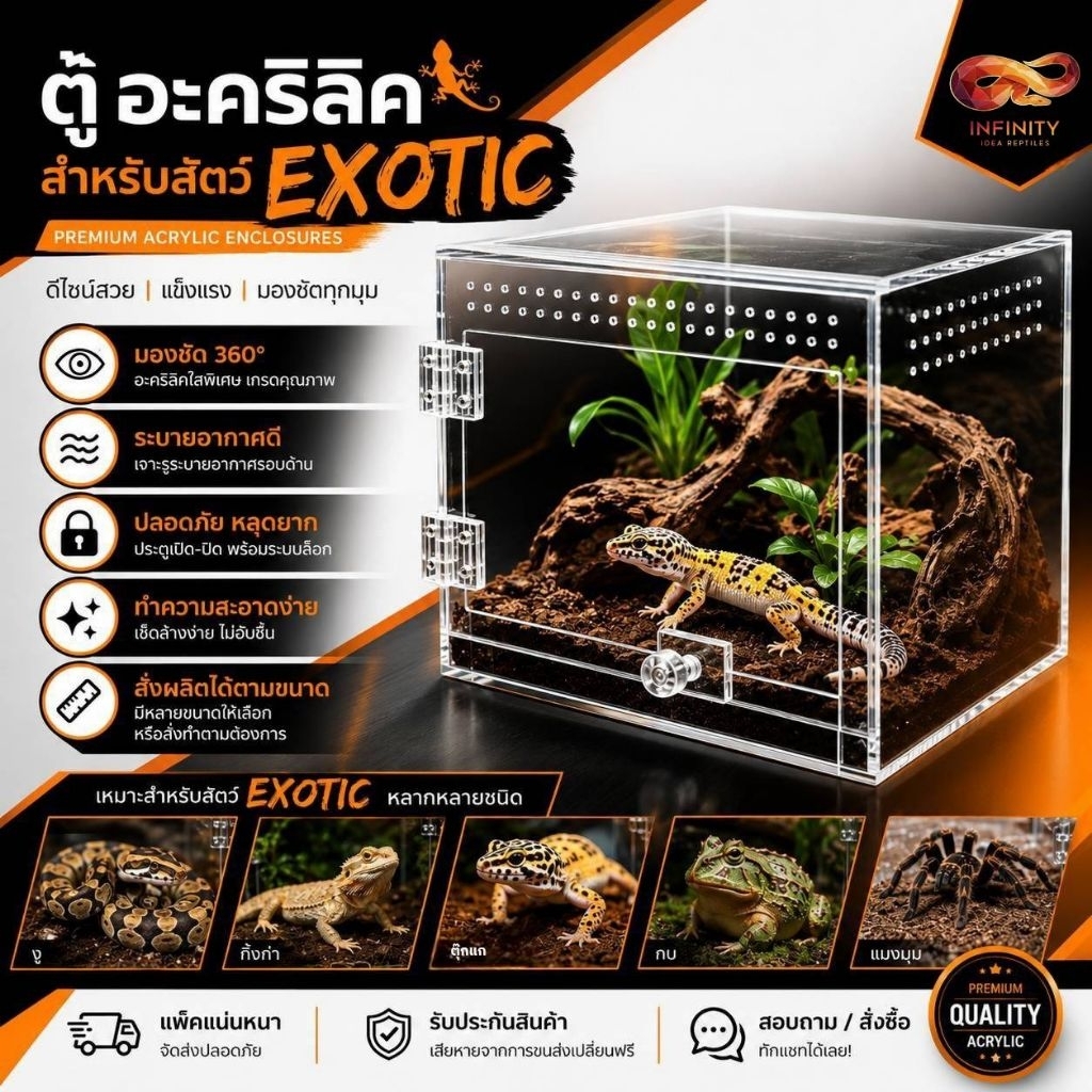 กล่องอะคริลิคเลี้ยงสัตว์ Exotic หนา 3 มม.ระบายอากาศด้วยรูเจาะ 3 มม. โปร่ง โล่ง อากาศถ่ายเทดีเหมาะสำหรับสัตว์เลื้อยคลาน