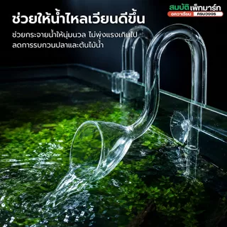 Inflow Outflow Glass Pipe Lilly /Spin/Skimmer ท่อแก้วตู้ไม้น้ำ ดีไซน์หรู น้ำไหลสวยตู้ดูพรีเมียม