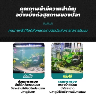 กล่องกรองตู้ปลา กล่องกรองน้ำ 2/3 ชั้น วัสดุ PE หนา กรองน้ำใส เพิ่มออกซิเจน ลดการเปลี่ยนน้ำ ใช้ได้กับตู้ปลาและบ่อปลา