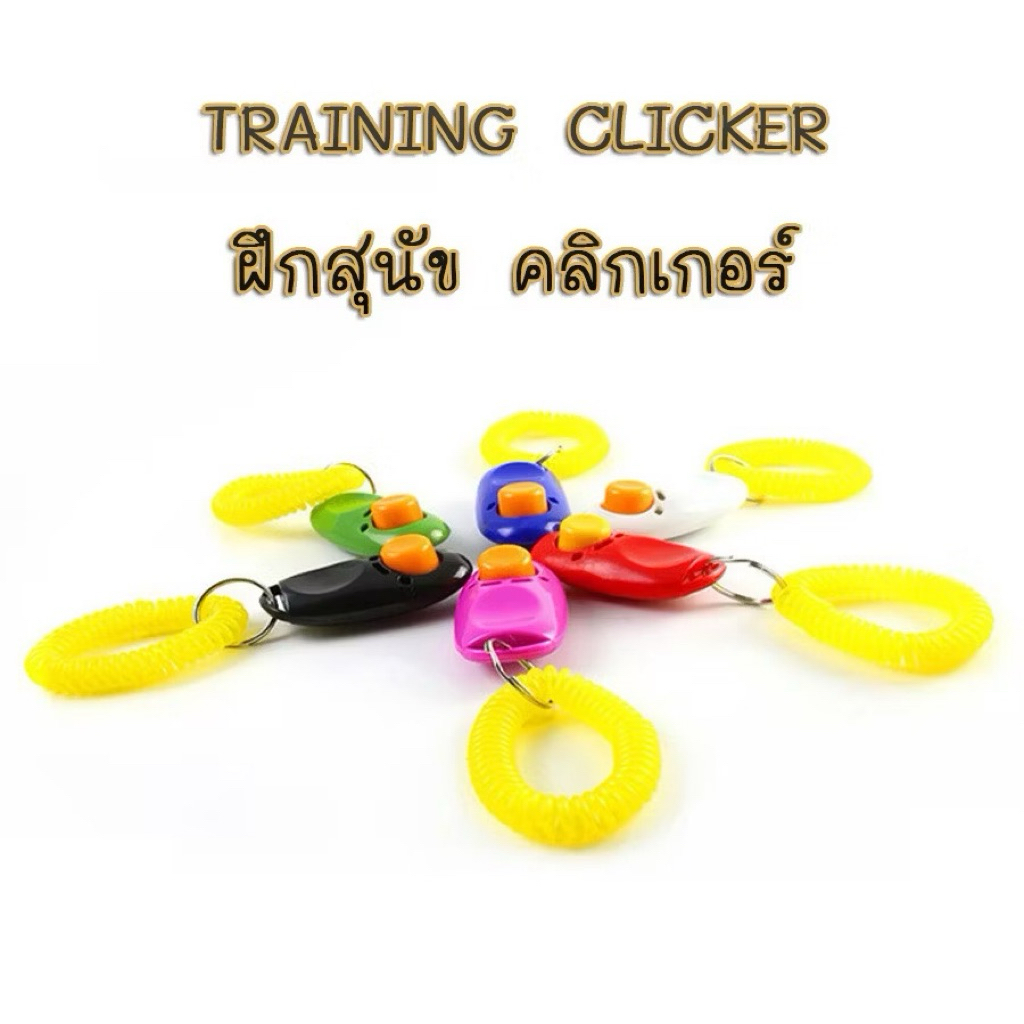 คลิกเกอร์ ฝึกสุนัข อุปกรณ์ฝึกสุนัข หมา Pet Training Clicker 🔥 พร้อมส่ง 🔥