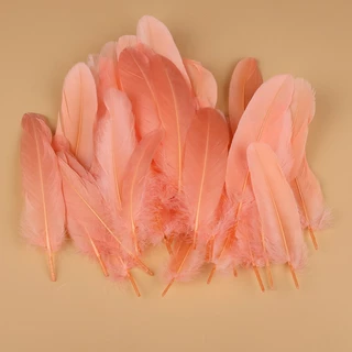 50 ชิ้น ขนห่านธรรมชาติ คละสี ขนนก ขนนกธรรมชาติสีสันสวย สําหรับงานฝีมือ ตกแต่งงานแต่งงาน DIY