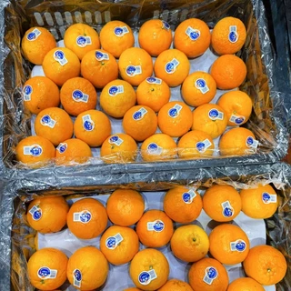 🇨🇳Oishi-fresh🦜🍊ส้มใต้หวัน S(70)หวานจัด หอมส้ม เปลือกร่อน รสชาติหวาน หอม กลิ่นส้ม สด ใหม่ ใยอาหารสูง เคลมได้ 1-2 วัน