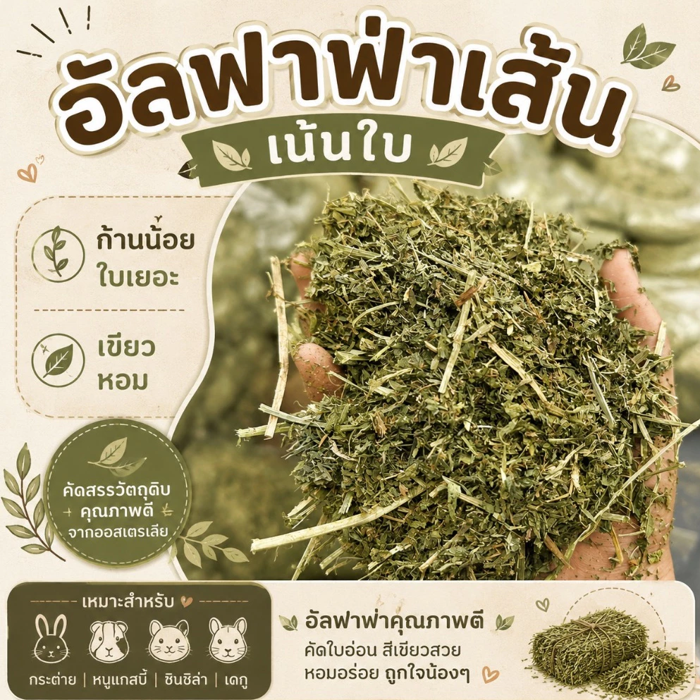 อัลฟาฟ่า เน้นใบ เหมาะสำหรับเด็กๆที่เน้นกินใบ