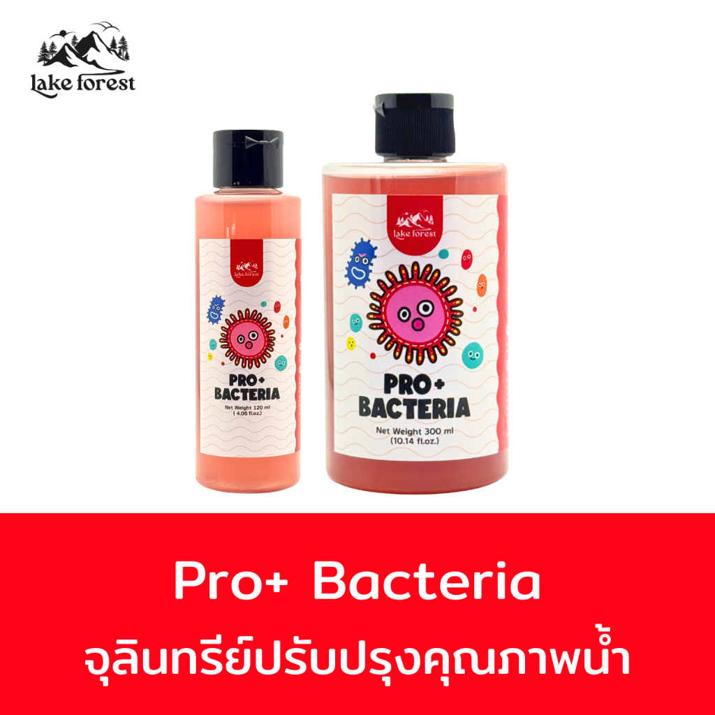 Pro+ Bacteria ช่วยบำบัดน้ำ ลดน้ำเขียวและตะกอน ส่งเสริมสุขภาพปลาและสัตว์น้ำ