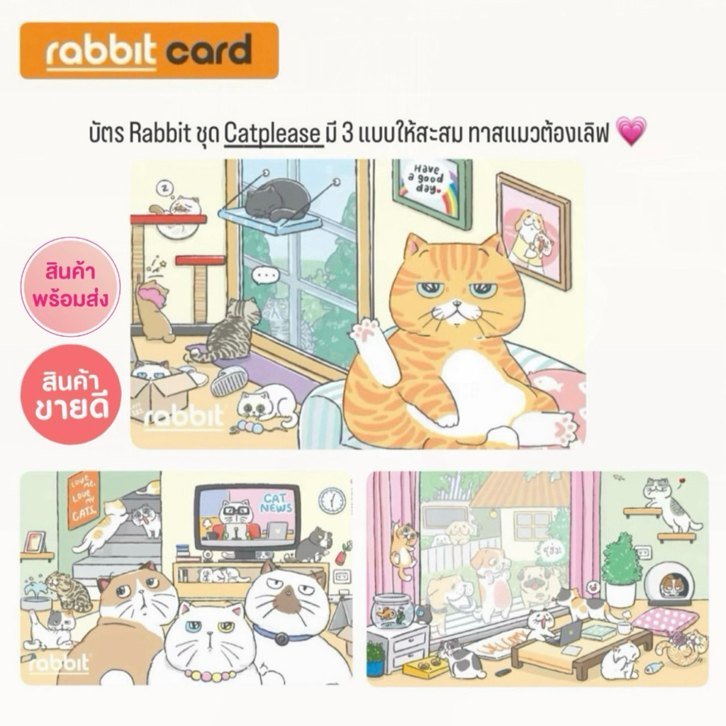 บัตร Rabbit - Catplease บัตรแมวจ๋า สำหรับบุคคลทั่วไป มีทั้งหมด 3 ลาย ทาสแมวต้องเลิฟ (พร้อมส่งในไทย 🇹🇭)