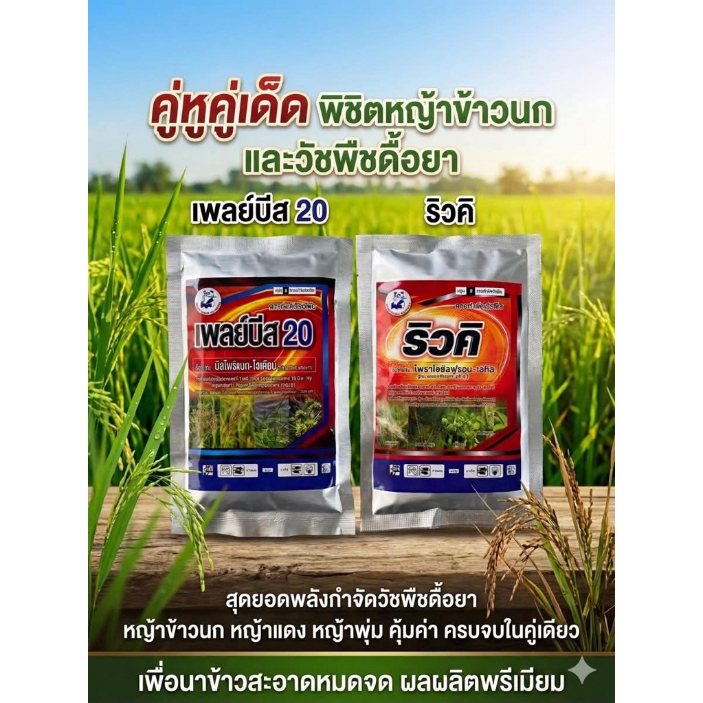 ริวคิ เพลย์บีส สารกำจัดวัชพืชหลังงอกในนาข้าว ดับสูญตระกูลกก ซองเดียวจบปัญหาวัชพืชดื้อยา ข้าวโตไว ได้ใจคนทำนา