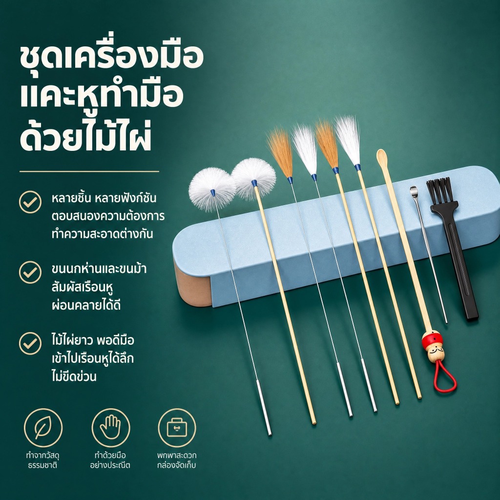 Luxe-T เครื่องมือแคะหู10ชิ้น/เซ็ต, ช้อนหูห่านแบบมืออาชีพเครื่องมือขุดหูค็อด