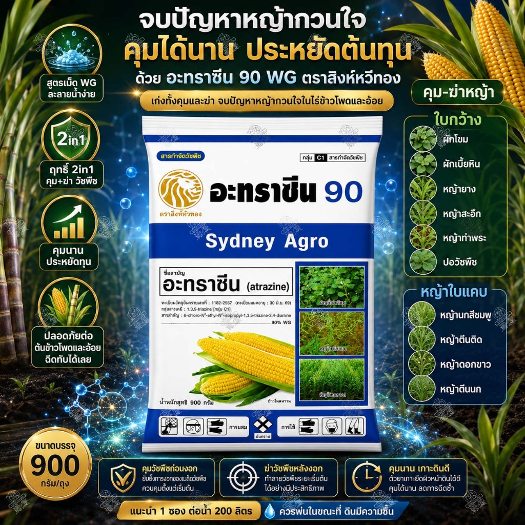 อะทราซีน 90 เม็ด WG 900กรัม กำจัดวัชพืช ทั้งคุม-กำจัดวัชพืช ใช้แบบ ทาซีแม็กซ์-โปร เอเทร็ก 90 ได้เลย