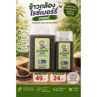 ข้าวกล้องไรซ์เบอร์รี่ เกรดบี 1กก./500กรัม | ส่งตรงจากโรงสี | คุณภาพเหมือนเกรดเอ | เก็บเกี่ยว เม.ย.69