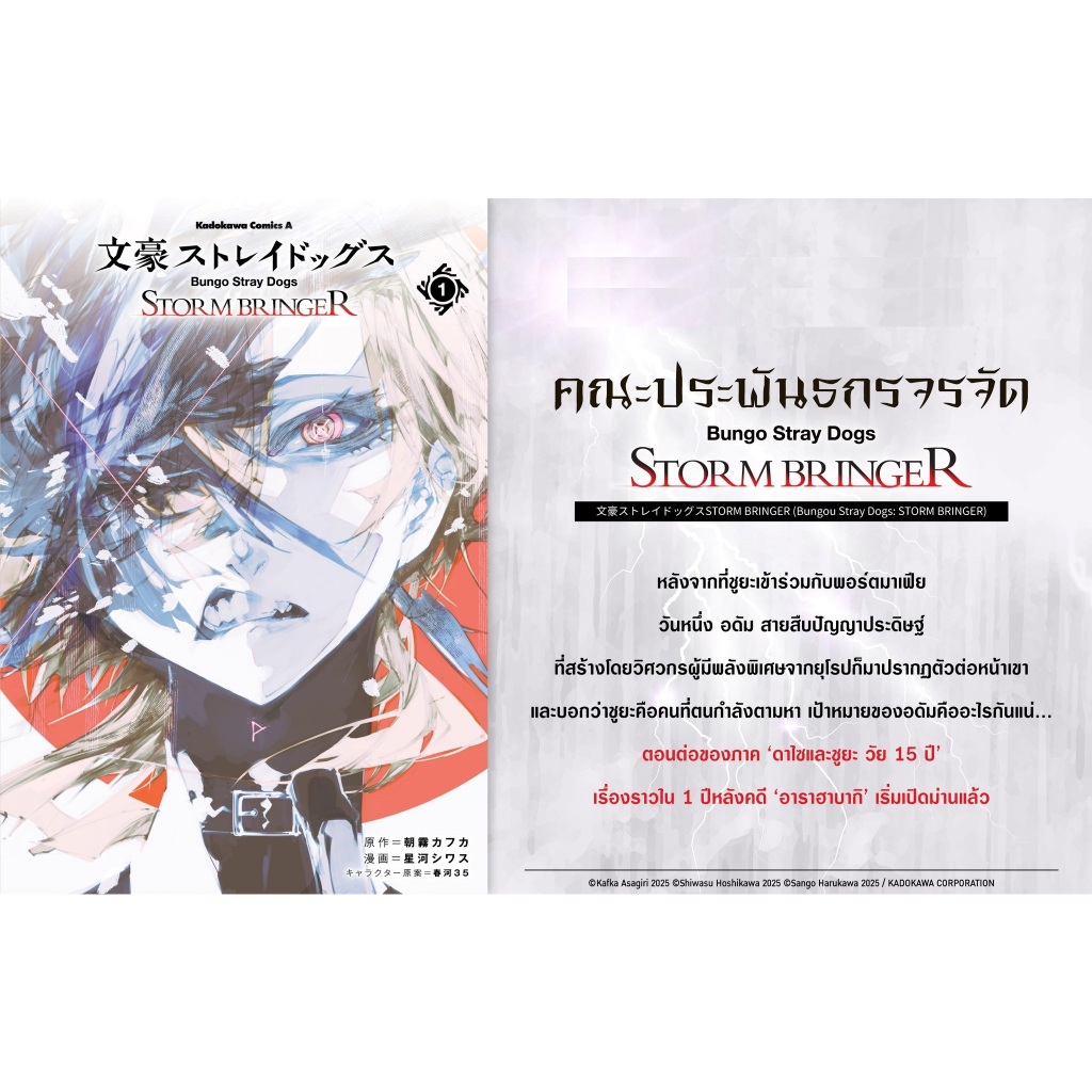 มังงะ คณะประพันธกรจรจัด STORM BRINGER (文豪ストレイドッグスSTORM BRINGER)