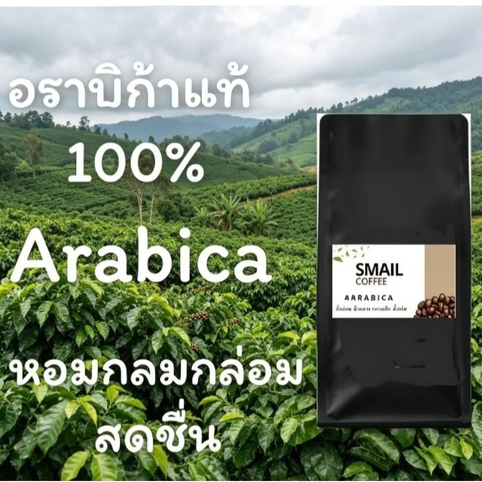 เมล็ดกาแฟคั่วใหม่( Arabica100% ) เชียงราย หอมกลมกล่อมสดชื่น #ต้องลอง