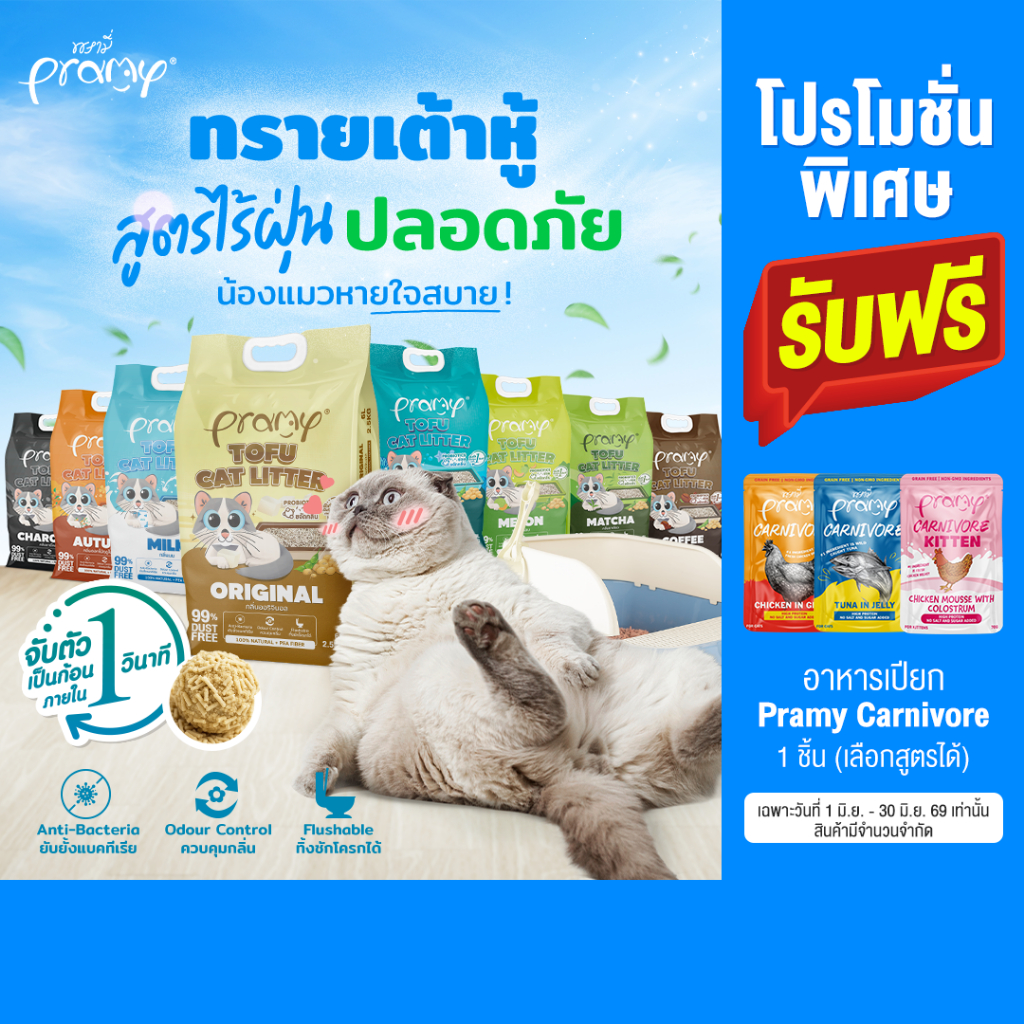 Pramy ทรายแมวเต้าหู้ สูตรไร้ฝุ่น จับตัวเป็นก้อนเร็ว จากใยถั่วเหลืองธรรมชาติ มีให้เลือก 11 กลิ่น
