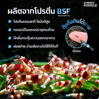 อาหารกุ้งแคระ กุ้งเครย์ฟิช เม็ดจม โตไว ลอกคราบถี่ │CRAYFORCE